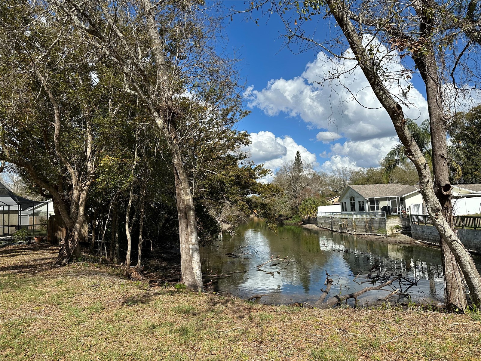 Sunrise Drive Lutz FL 33549 TB8478771 image4