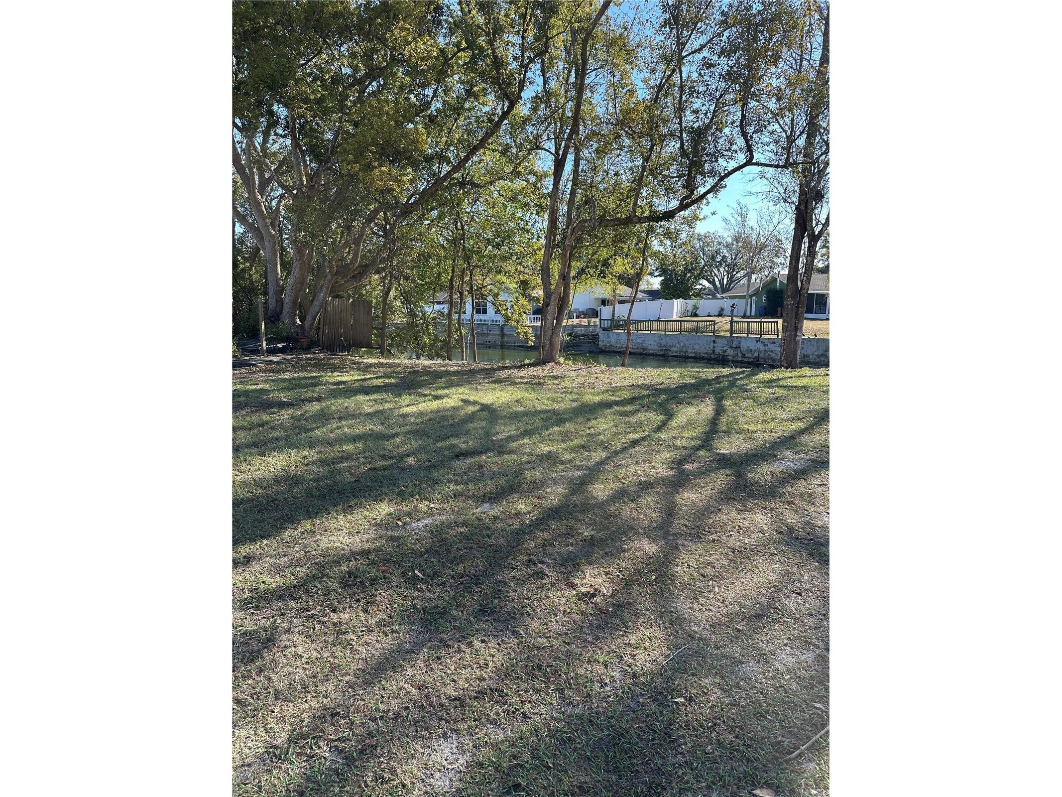 Sunrise Drive Lutz FL 33549 TB8478771 image8
