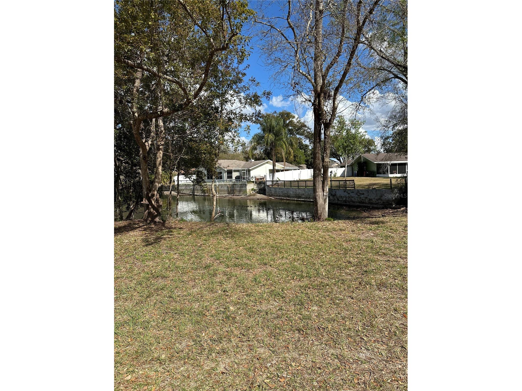 Sunrise Drive Lutz FL 33549 TB8478771 image9