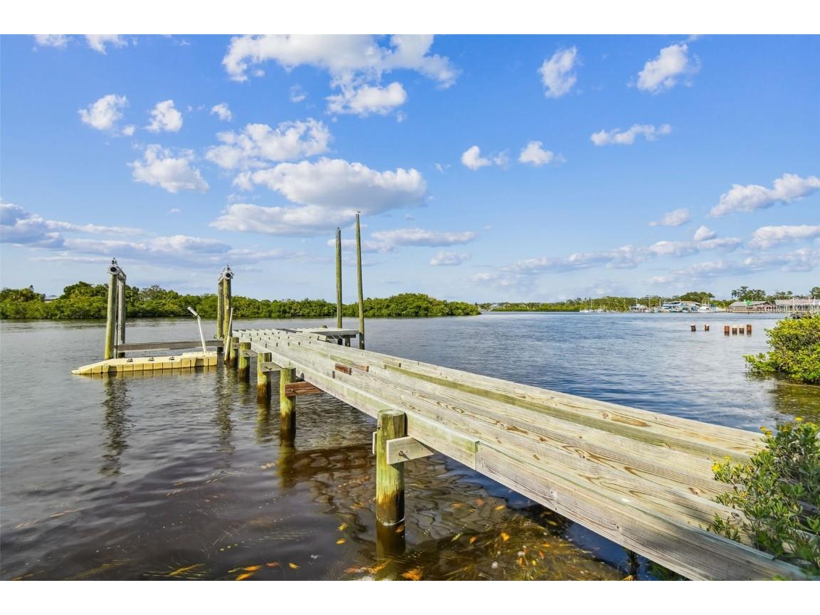 Sunset Boulevard Port Richey FL 34668 TB8432467 image10