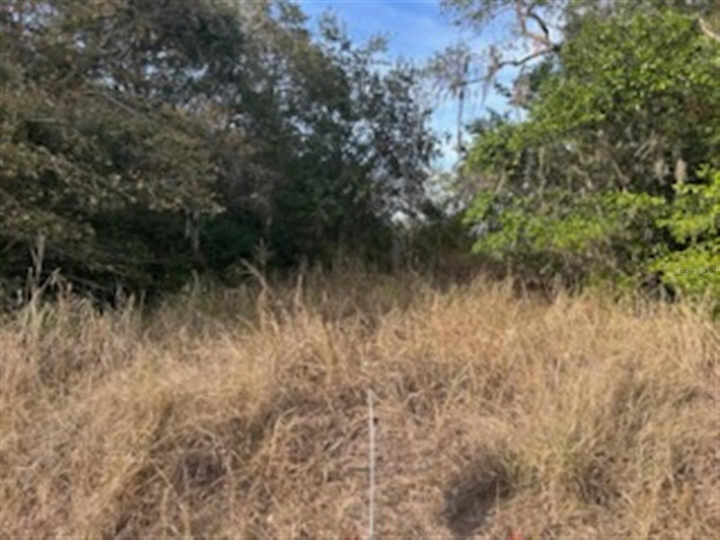 Sunset Trail Babson Park FL 33827 K4903210 image3