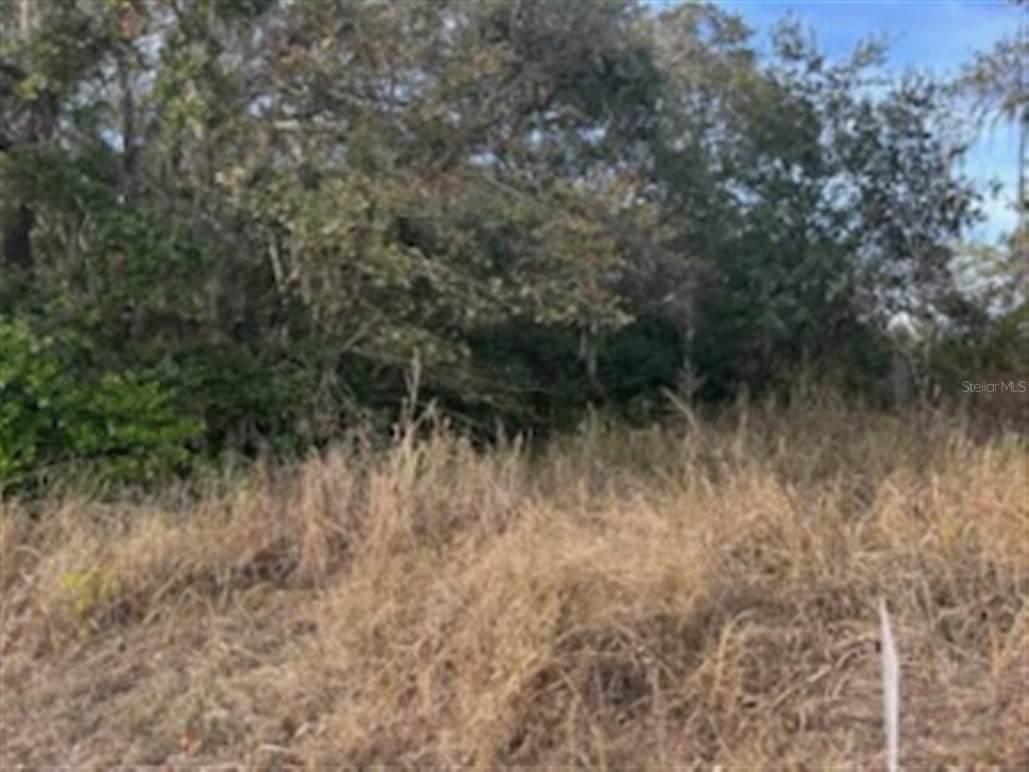 Sunset Trail Babson Park FL 33827 K4903210 image4