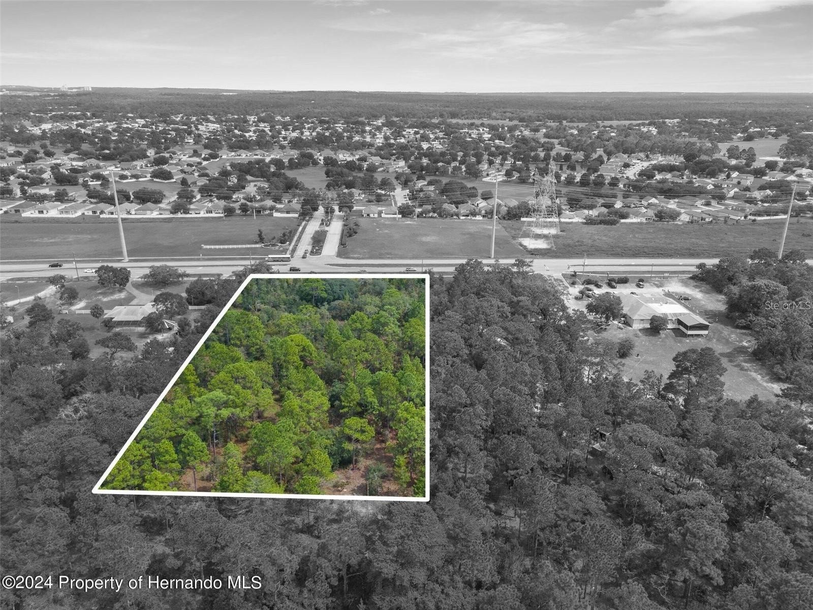 Sunshine Grove Road Brooksville FL 34613 W7884497 image13