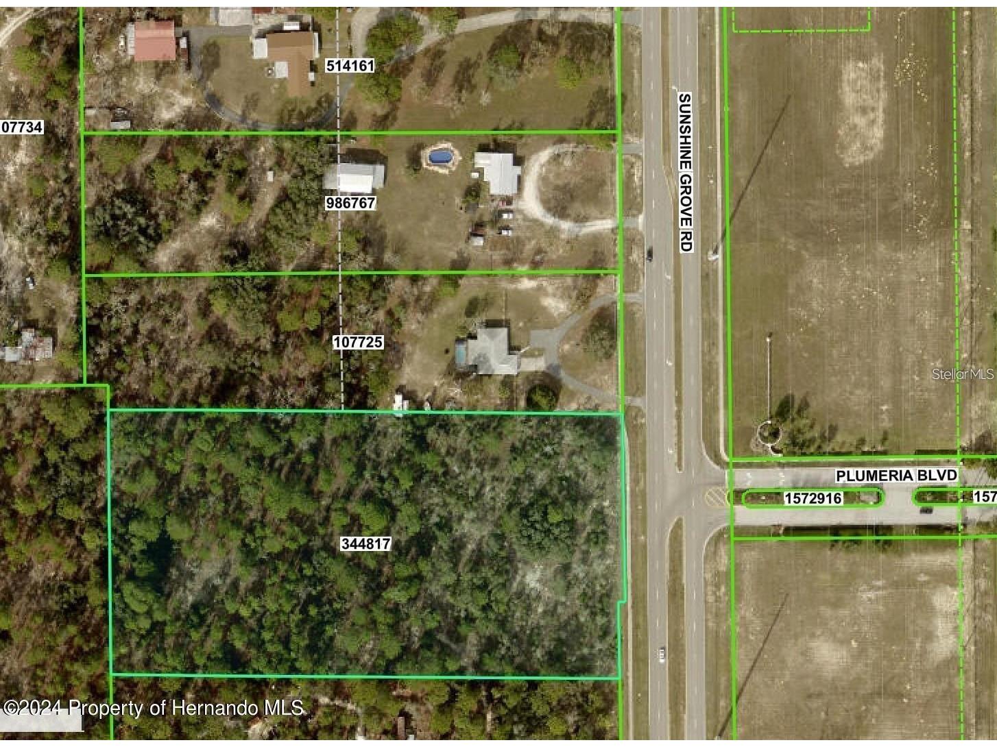 Sunshine Grove Road Brooksville FL 34613 W7884497 image2
