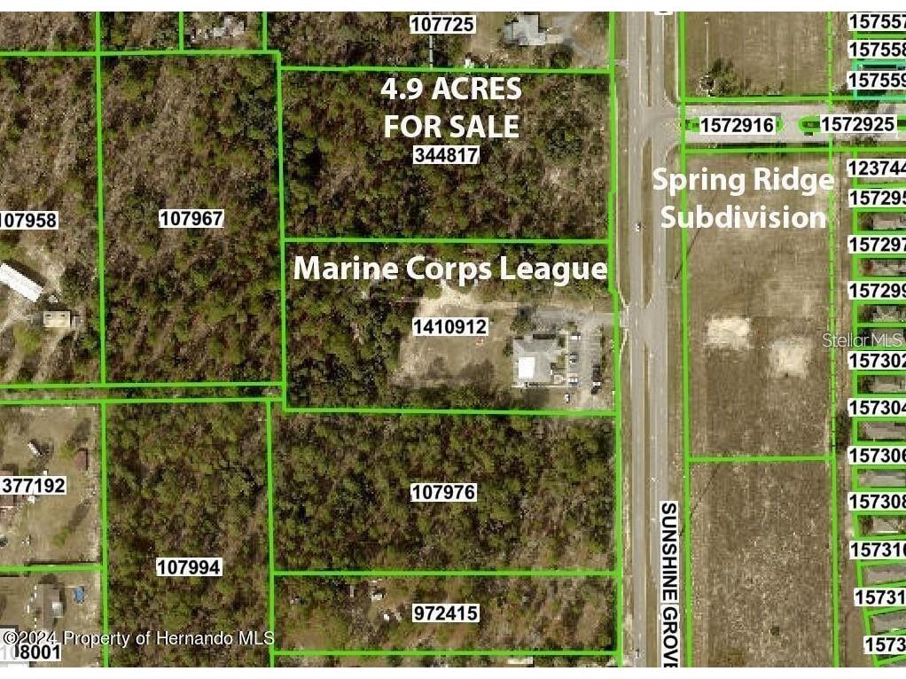 Sunshine Grove Road Brooksville FL 34613 W7884497 image4