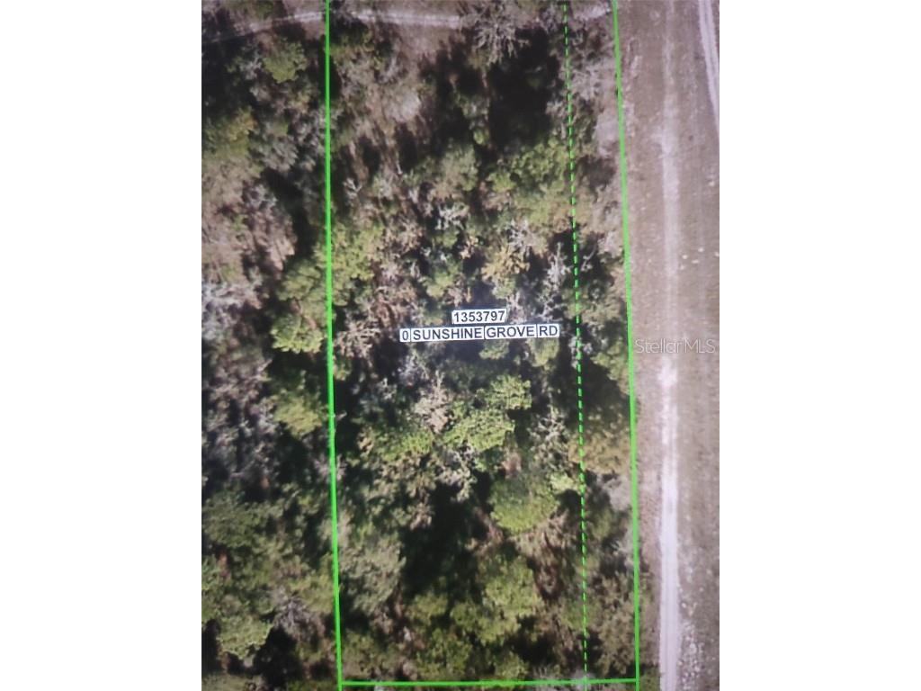 0 Sunshine Grove Road Brooksville FL 34614 T3551250 image2
