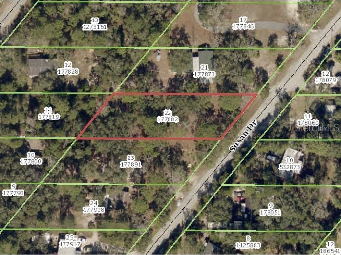 Susan Drive Spring Hill FL 34606 U8145306 image1