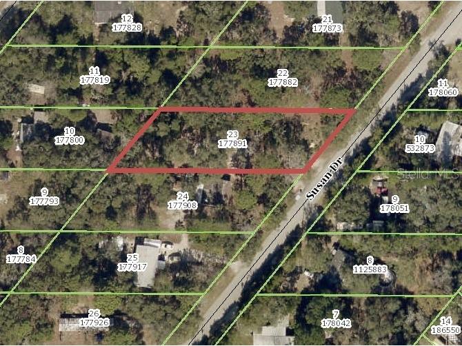 Susan Drive Spring Hill FL 34606 U8145308 image1