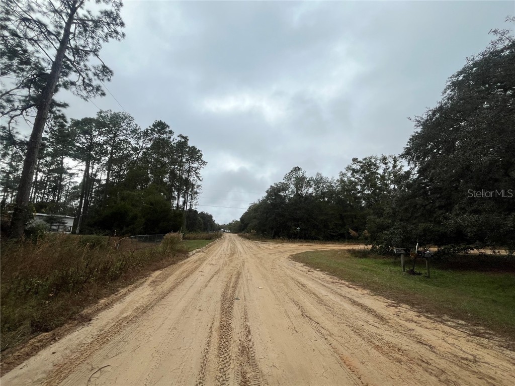 Susan Street Interlachen FL 32148 OK225295 image10