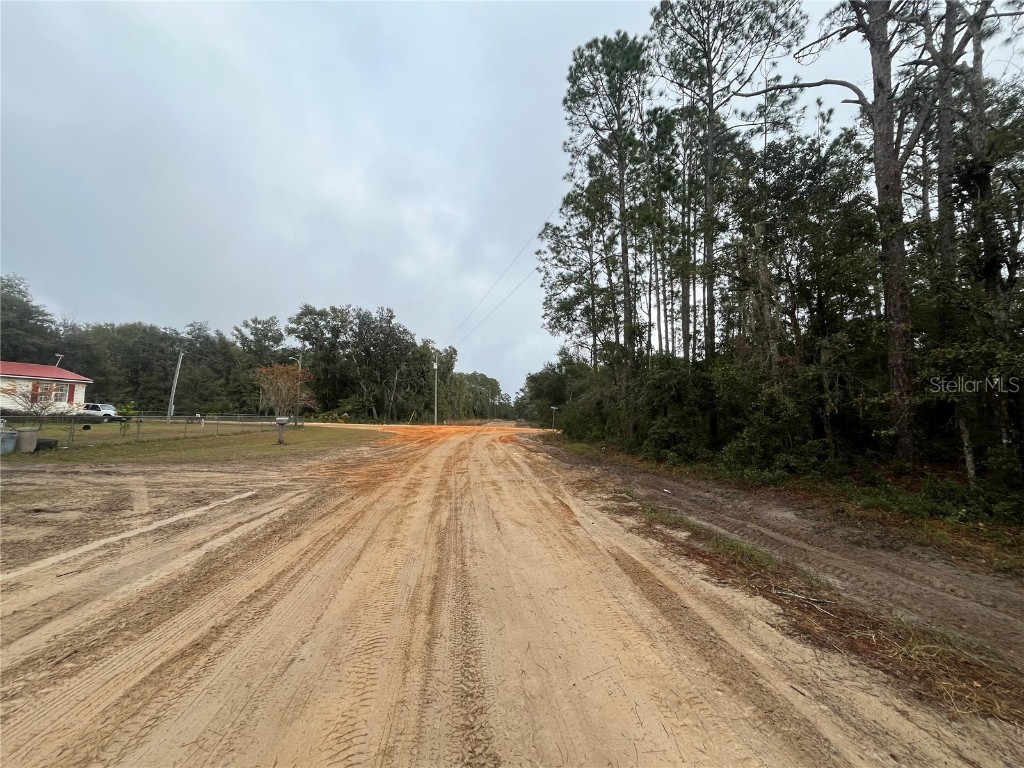 Susan Street Interlachen FL 32148 OK225295 image2