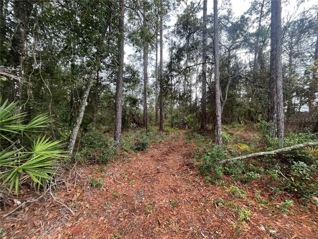 Susan Street Interlachen FL 32148 OK225295 image3