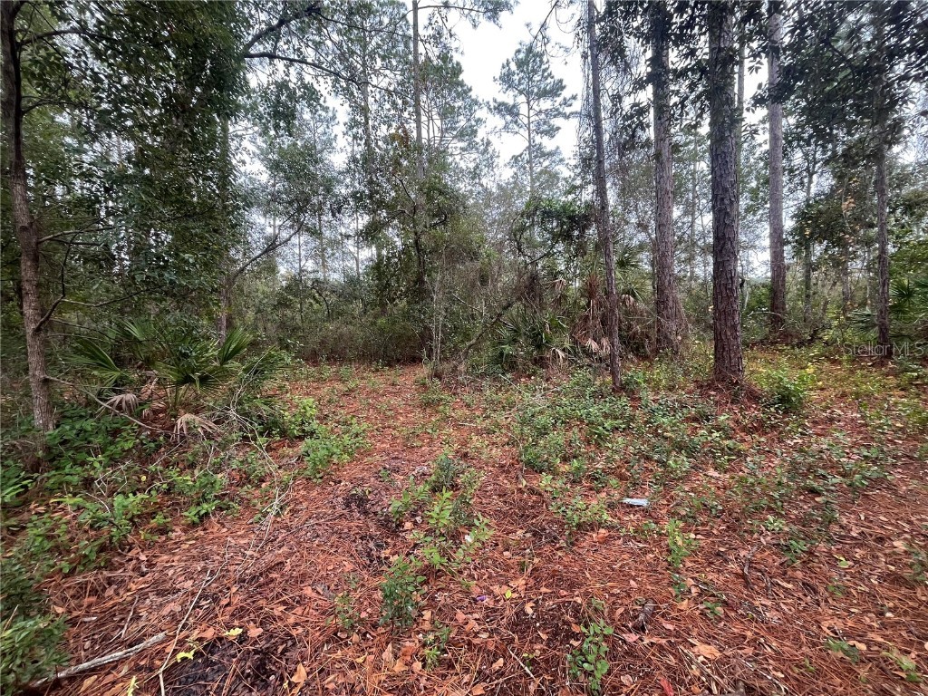 Susan Street Interlachen FL 32148 OK225295 image4