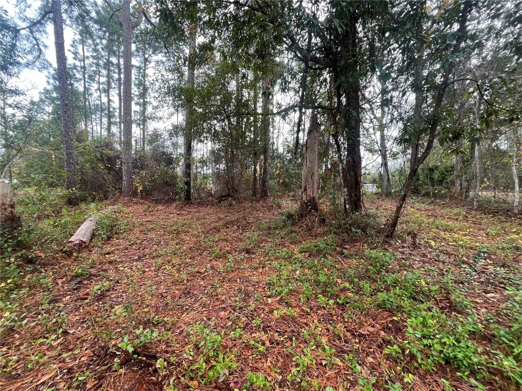 Susan Street Interlachen FL 32148 OK225295 image6