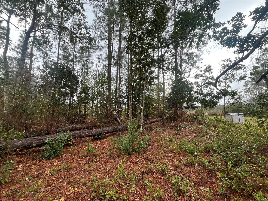 Susan Street Interlachen FL 32148 OK225295 image7