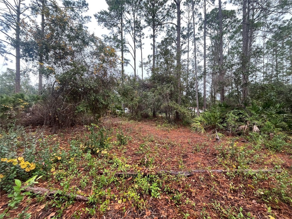 Susan Street Interlachen FL 32148 OK225295 image8