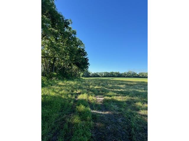 SW 10 Street SW Bell FL 32619 GC520917 image1