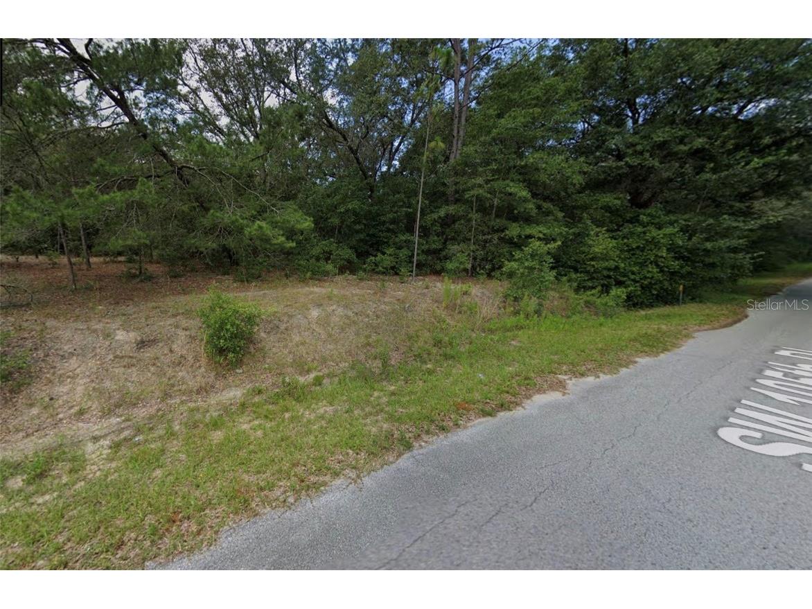 SW 105th Place Dunnellon FL 34432 O6345788 image2