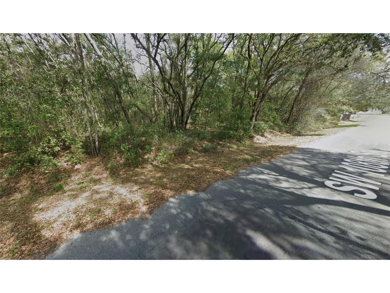 SW 108th Street Dunnellon FL 34432 O6331192 image2