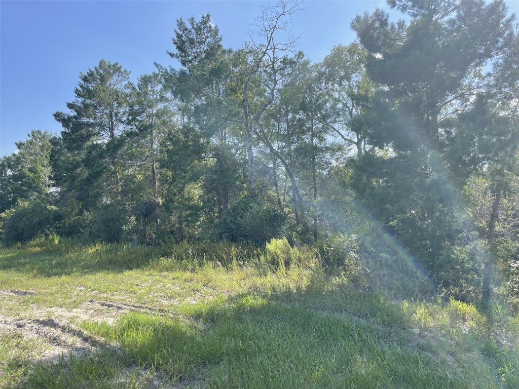 SW 109th Loop Ocala FL 34476 OM664385 image1