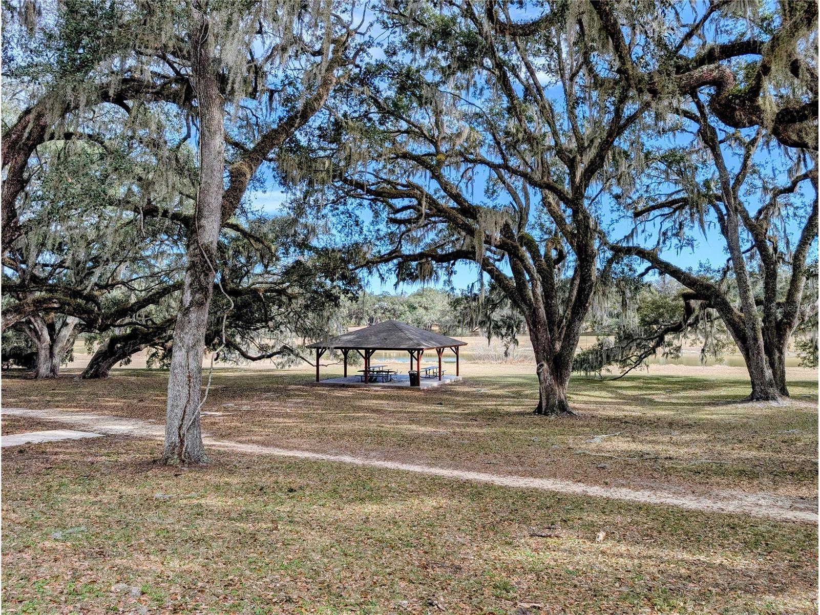 Sw 109th Place Dunnellon FL 34432 A4678807 image12