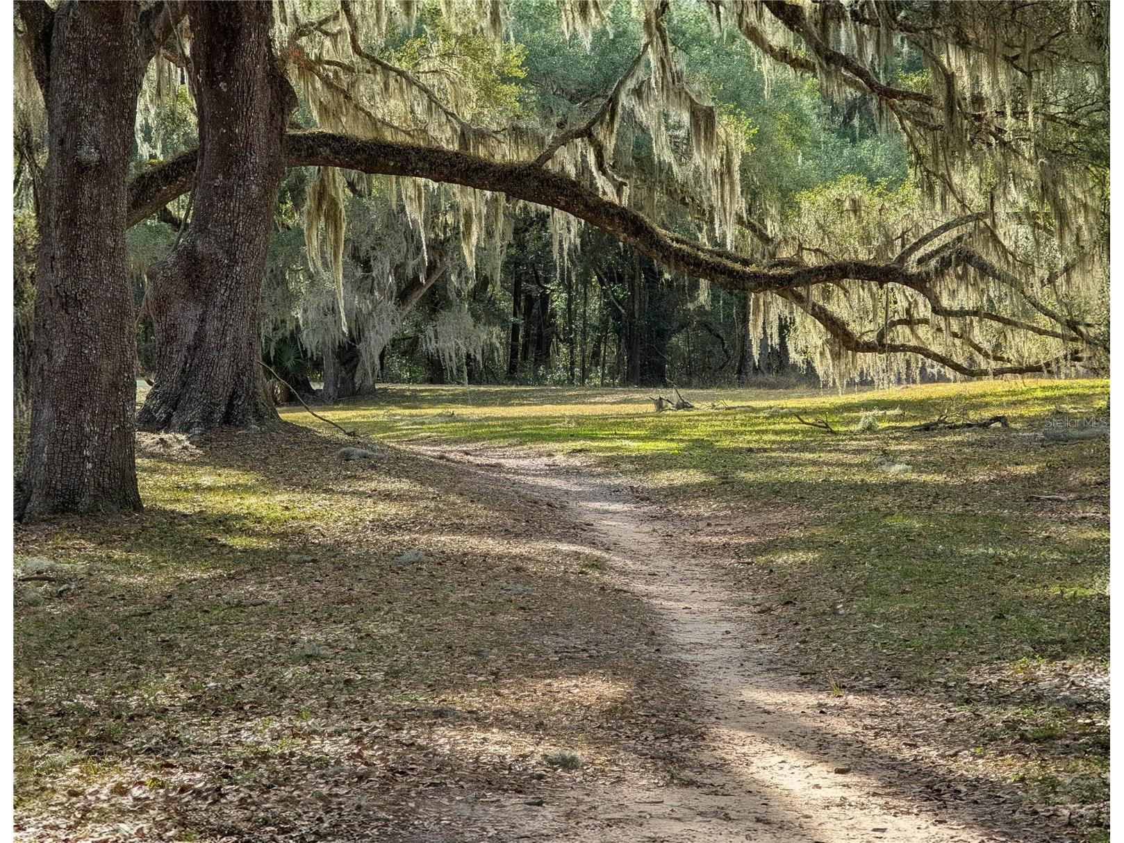 Sw 109th Place Dunnellon FL 34432 A4678807 image13