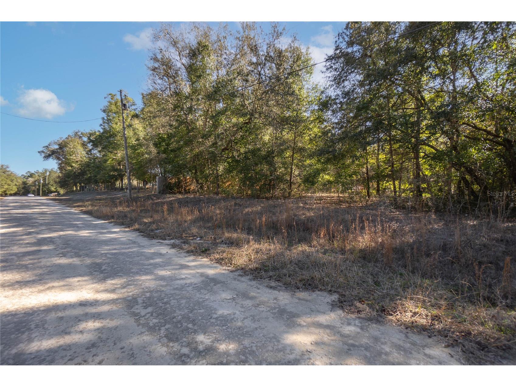 Sw 109th Place Dunnellon FL 34432 A4678807 image3