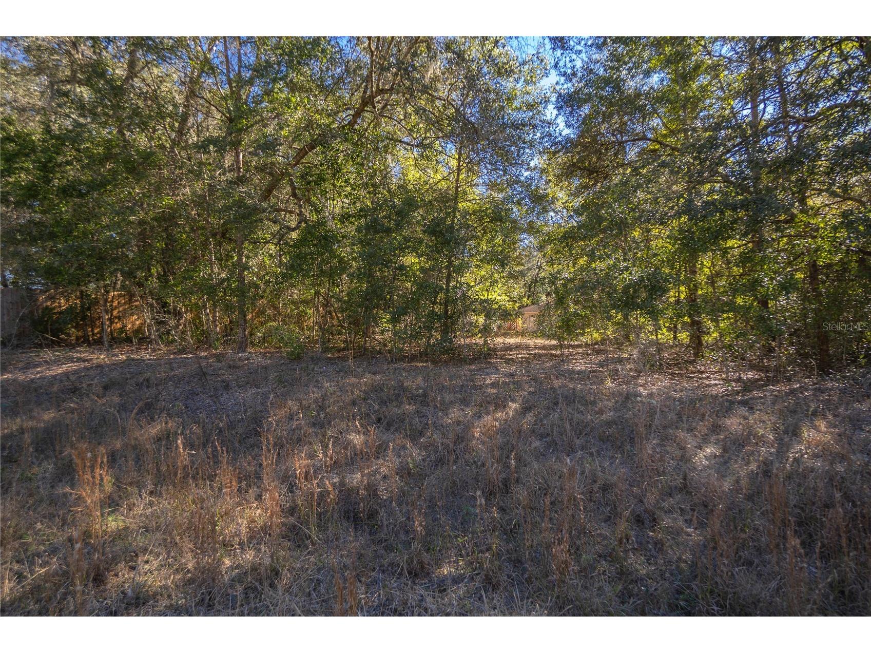 Sw 109th Place Dunnellon FL 34432 A4678807 image5