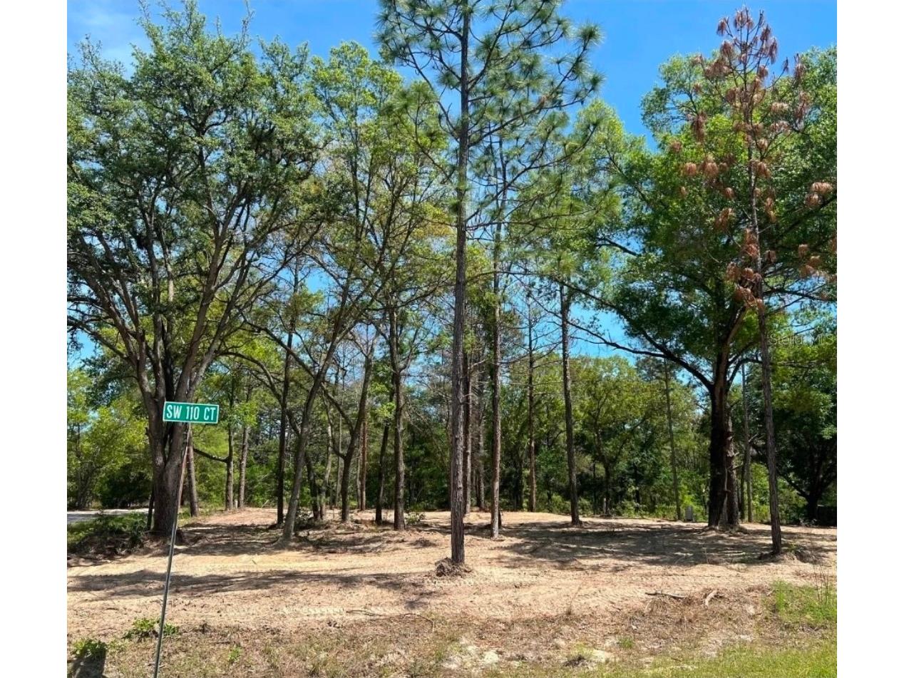 SW 110th Court Dunnellon FL 34432 TB8511433 image2