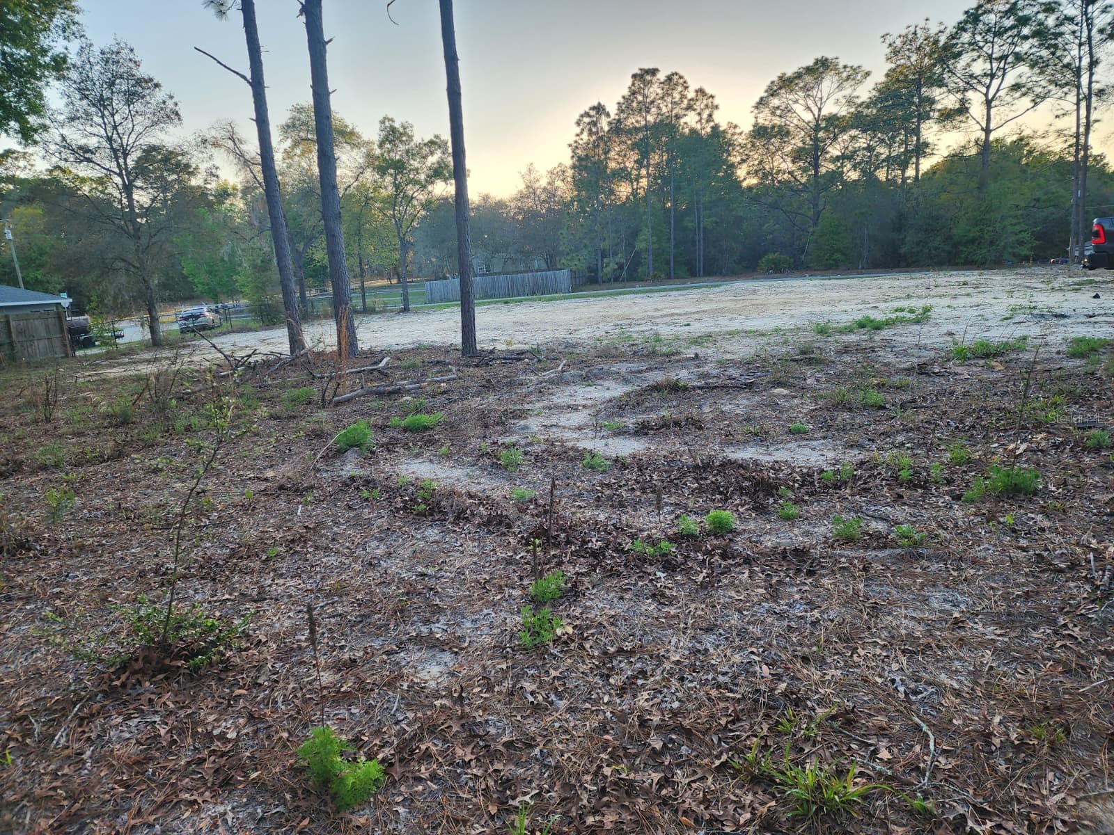 SW 110th Court Dunnellon FL 34432 TB8511433 image6