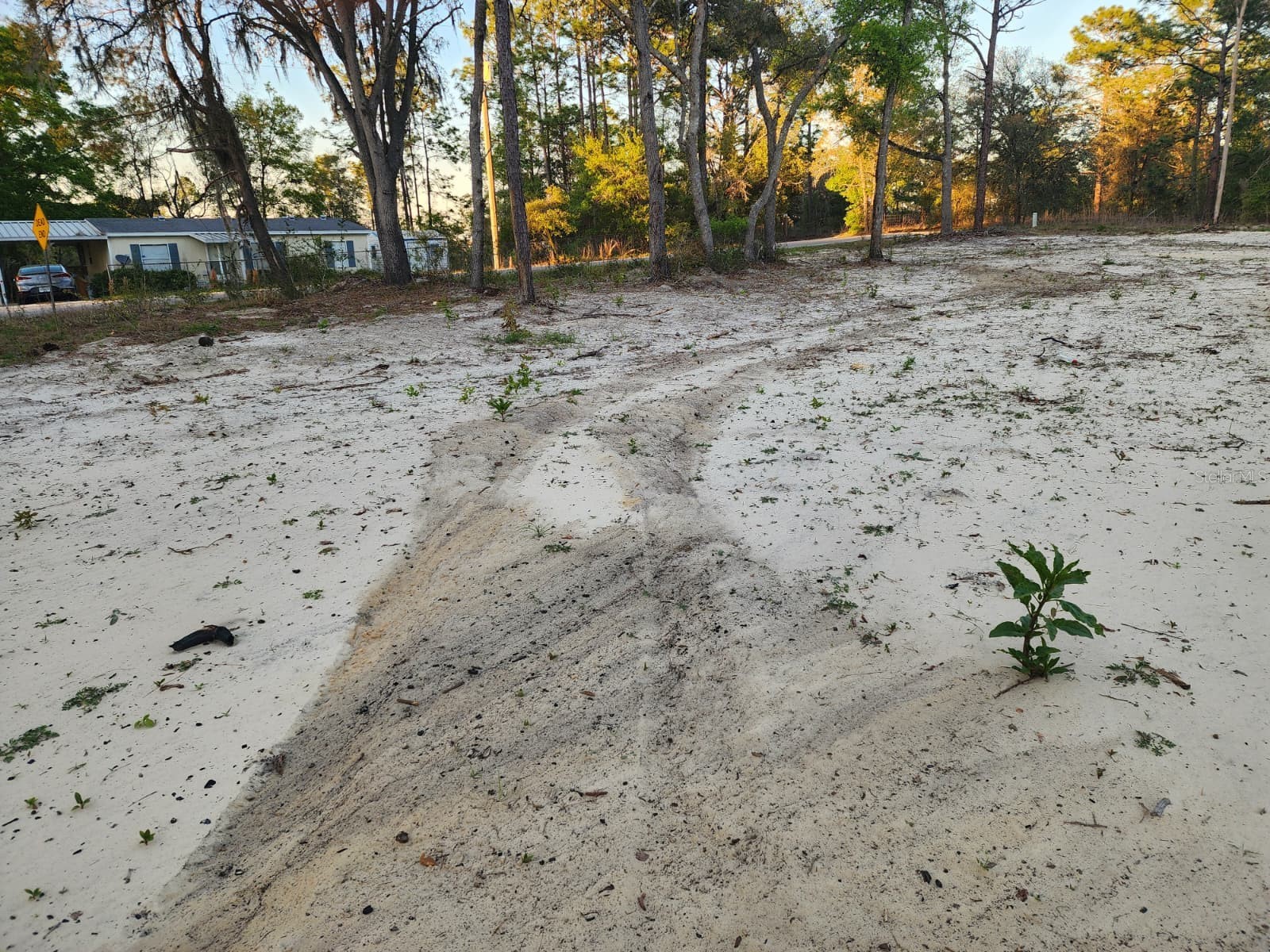 SW 110th Court Dunnellon FL 34432 TB8511433 image8