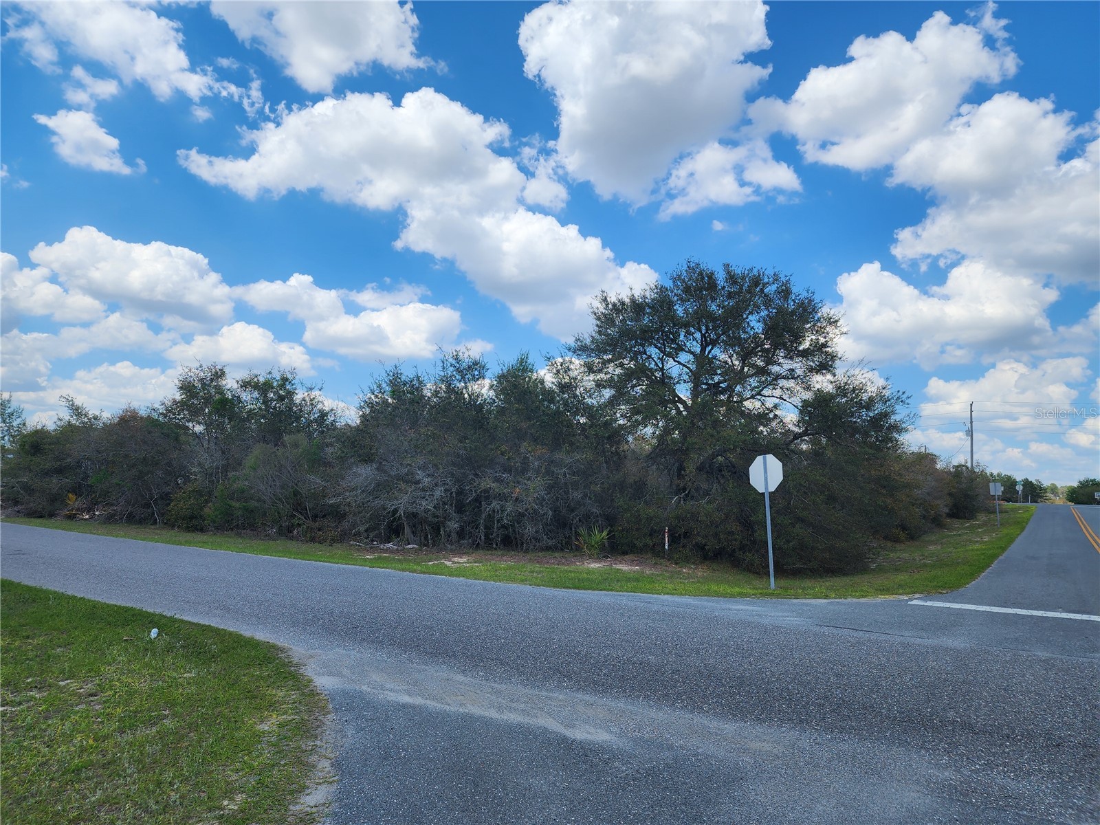 Sw 110th Ln Ocala FL 34476 OM721723 image1