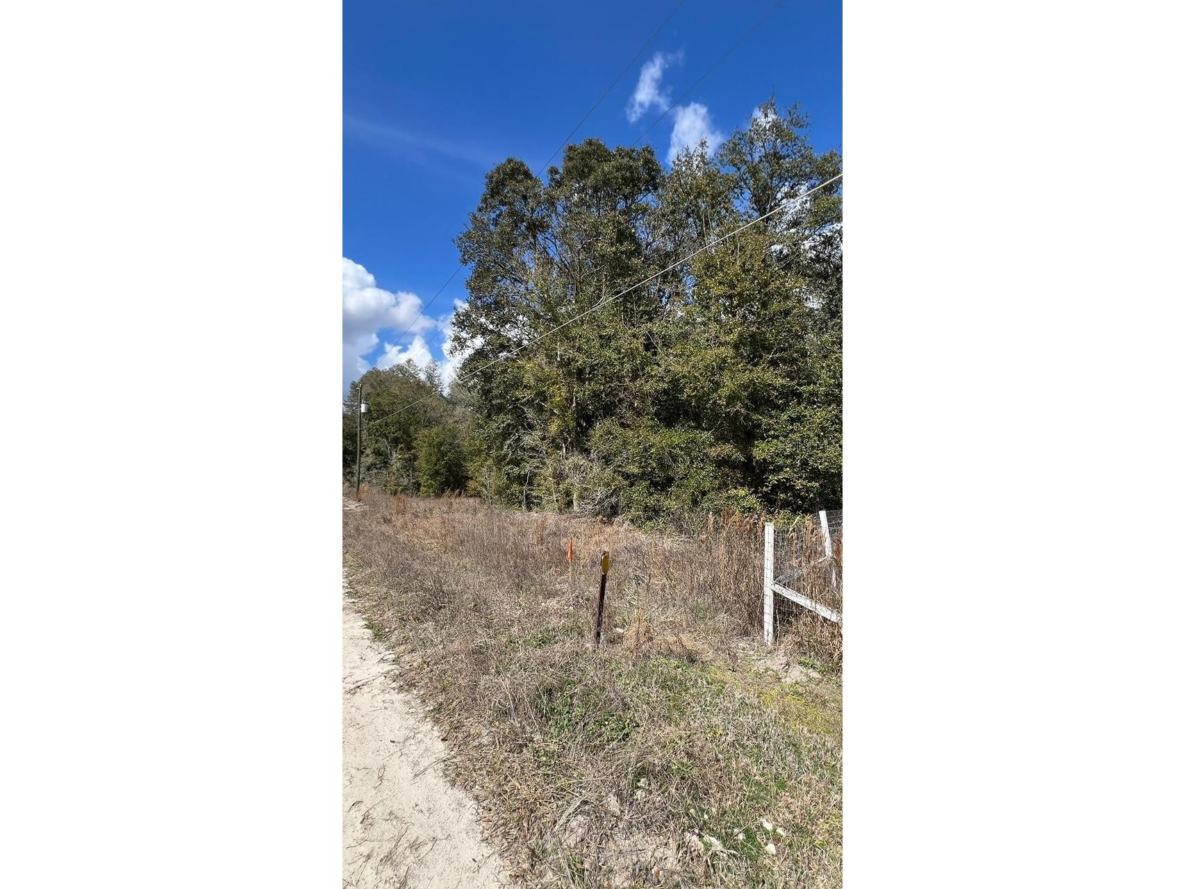 Sw 111 Lane Dunnellon FL 34432 O6427930 image1