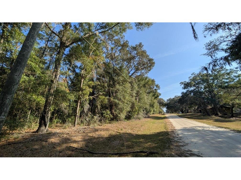 SW 111 Lane Dunnellon FL 34432 OM714552 image1