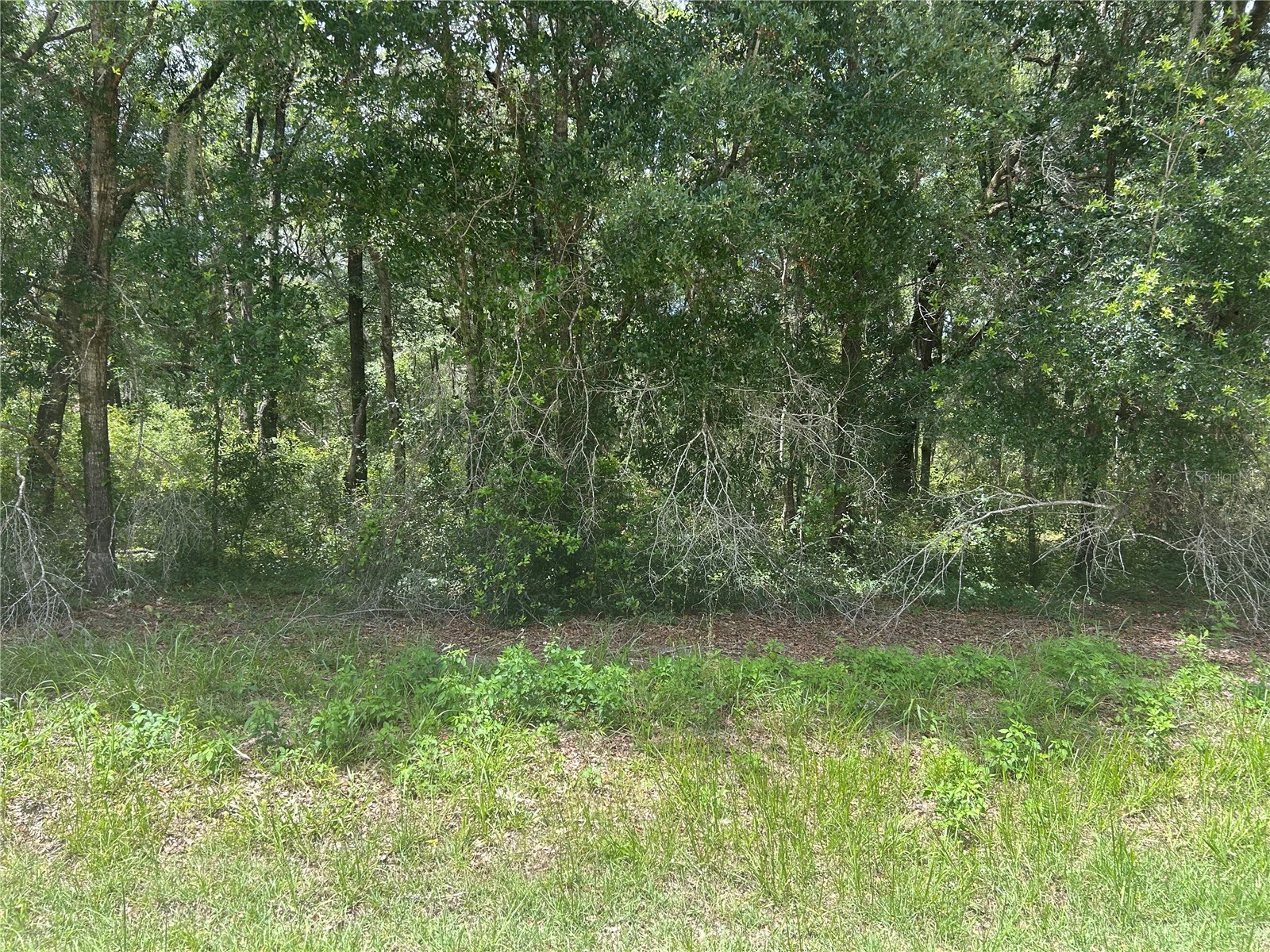 SW 111 Lane Dunnellon FL 34432 OM725935 image1