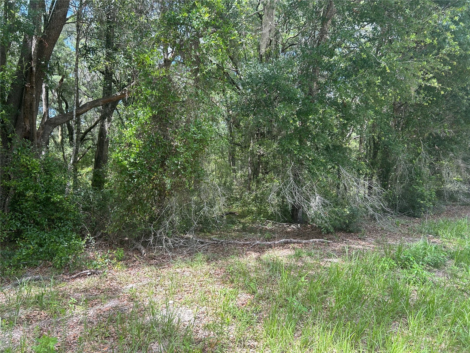 SW 111 Lane Dunnellon FL 34432 OM725935 image2