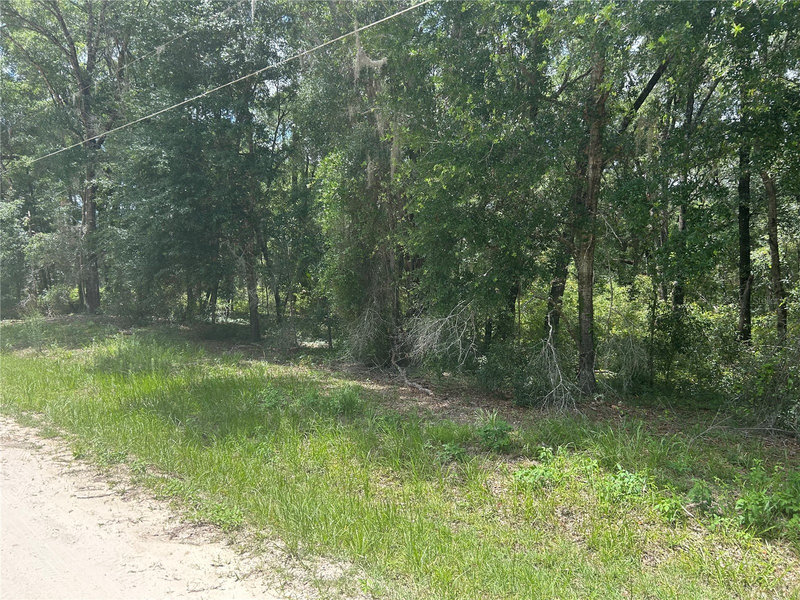 SW 111 Lane Dunnellon FL 34432 OM725935 image3