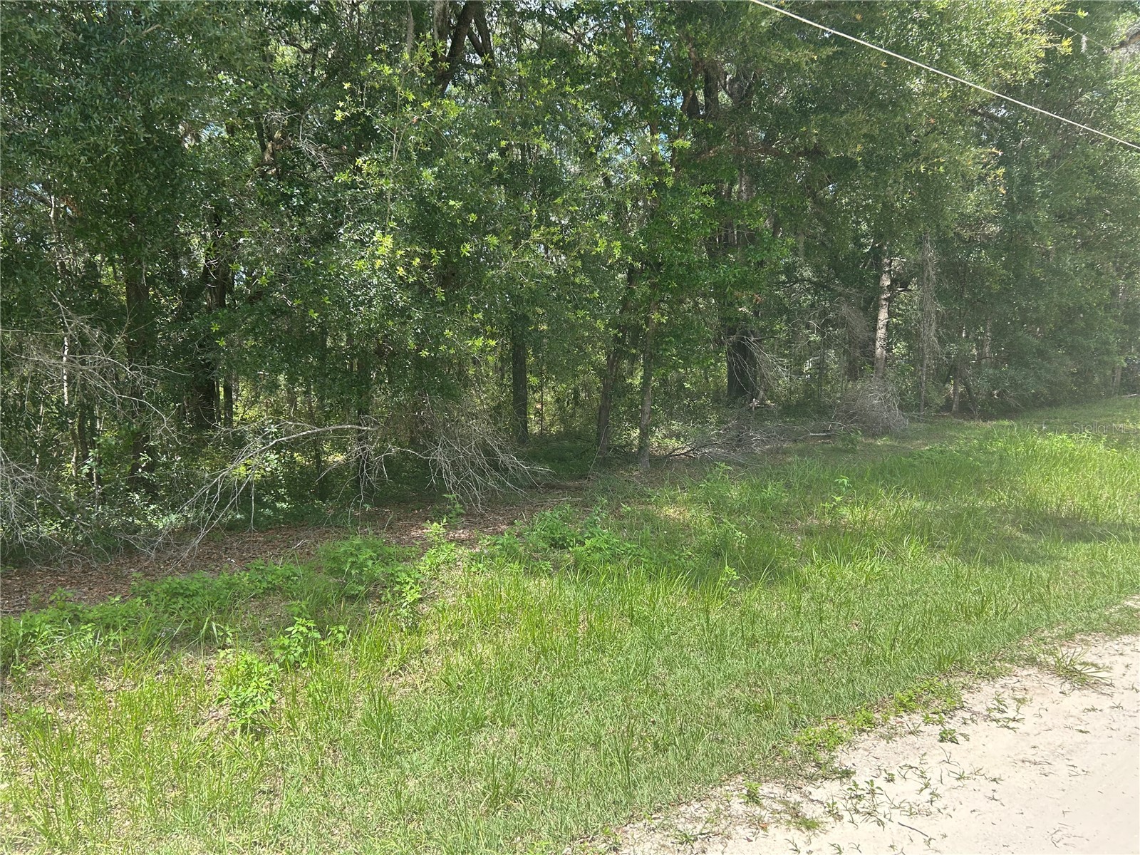 SW 111 Lane Dunnellon FL 34432 OM725935 image4