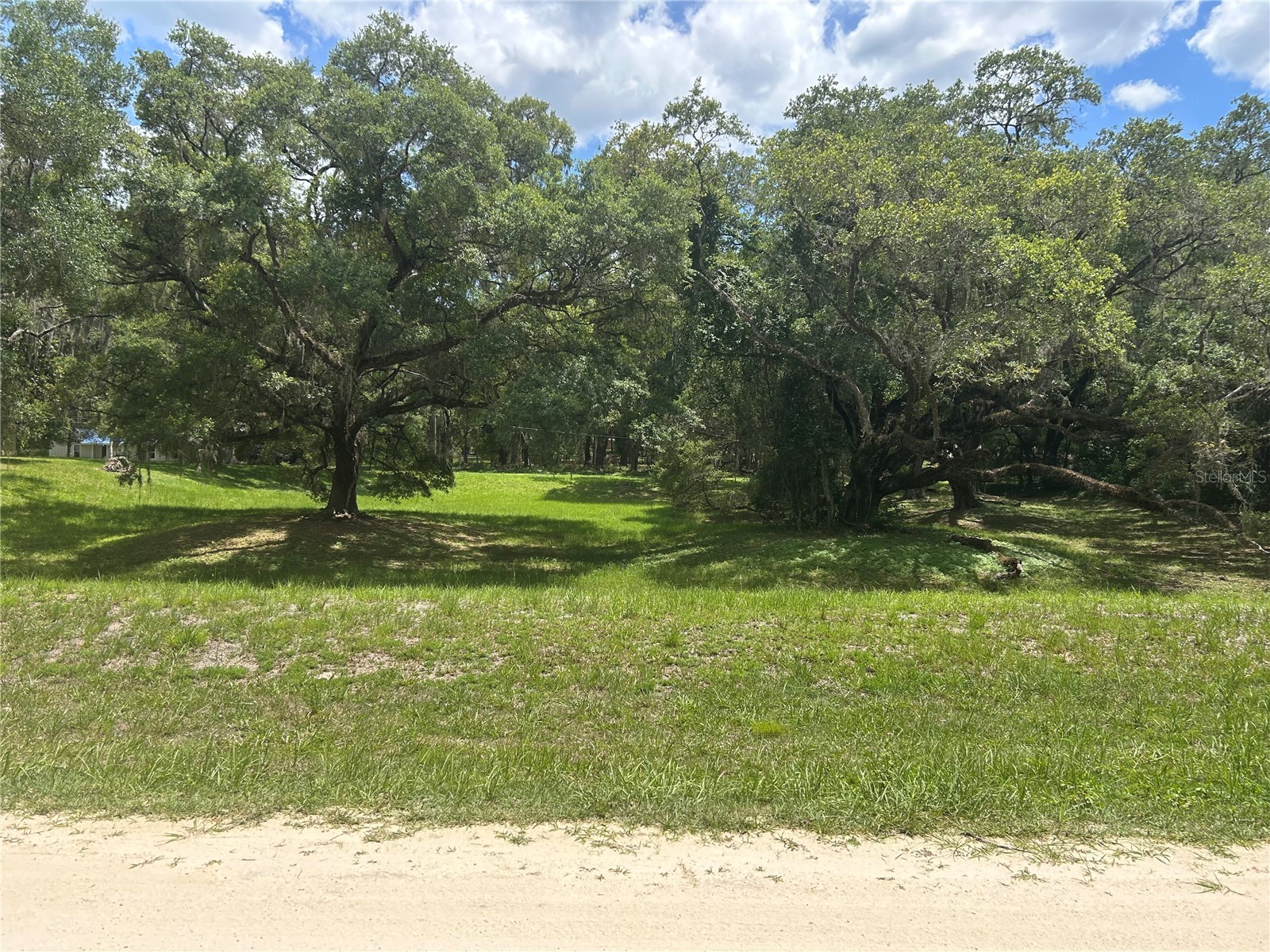 SW 111 Lane Dunnellon FL 34432 OM725935 image6
