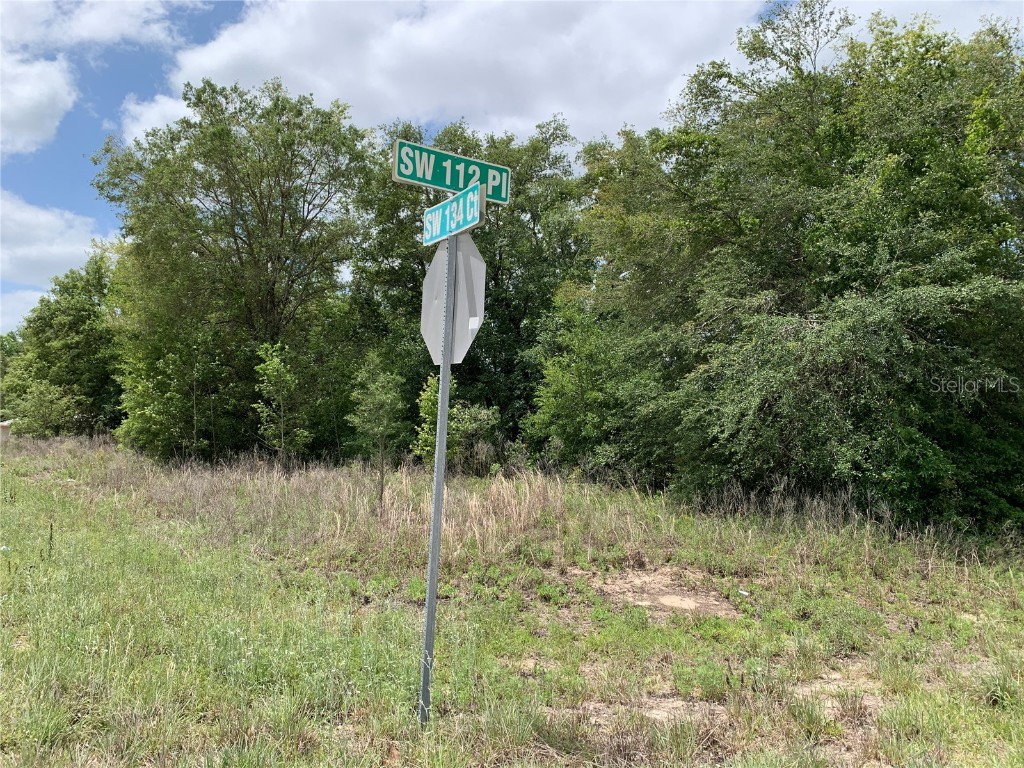 SW 112th Place Dunnellon FL 34432 OM634956 image1