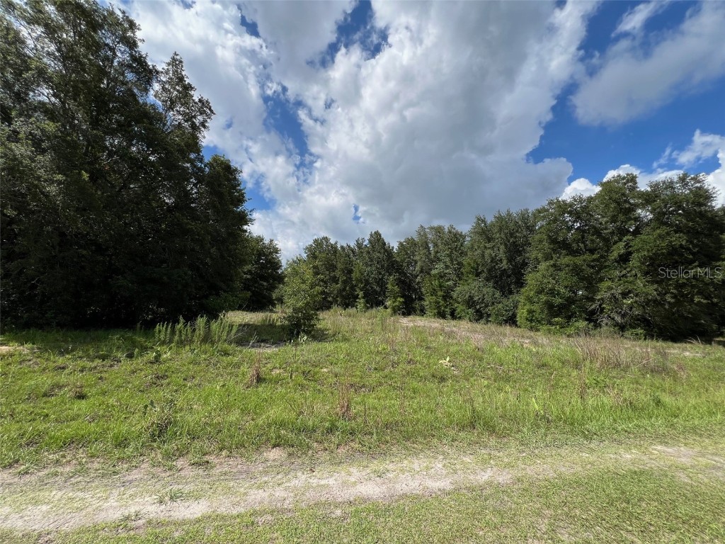 SW 112th Place Dunnellon FL 34432 U8249289 image1