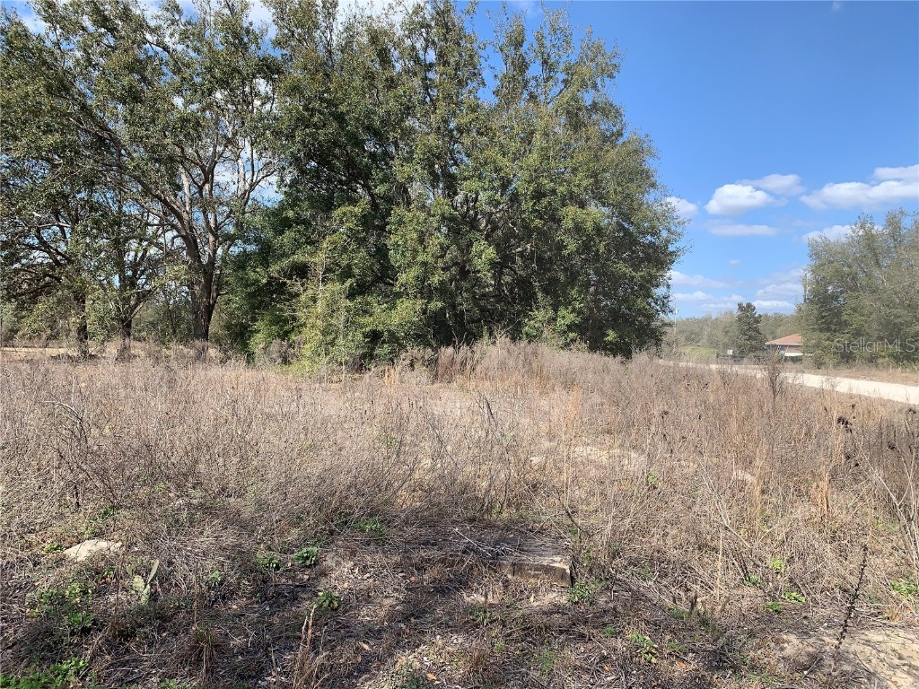 SW 113 Place Dunnellon FL 34432 OM634749 image1