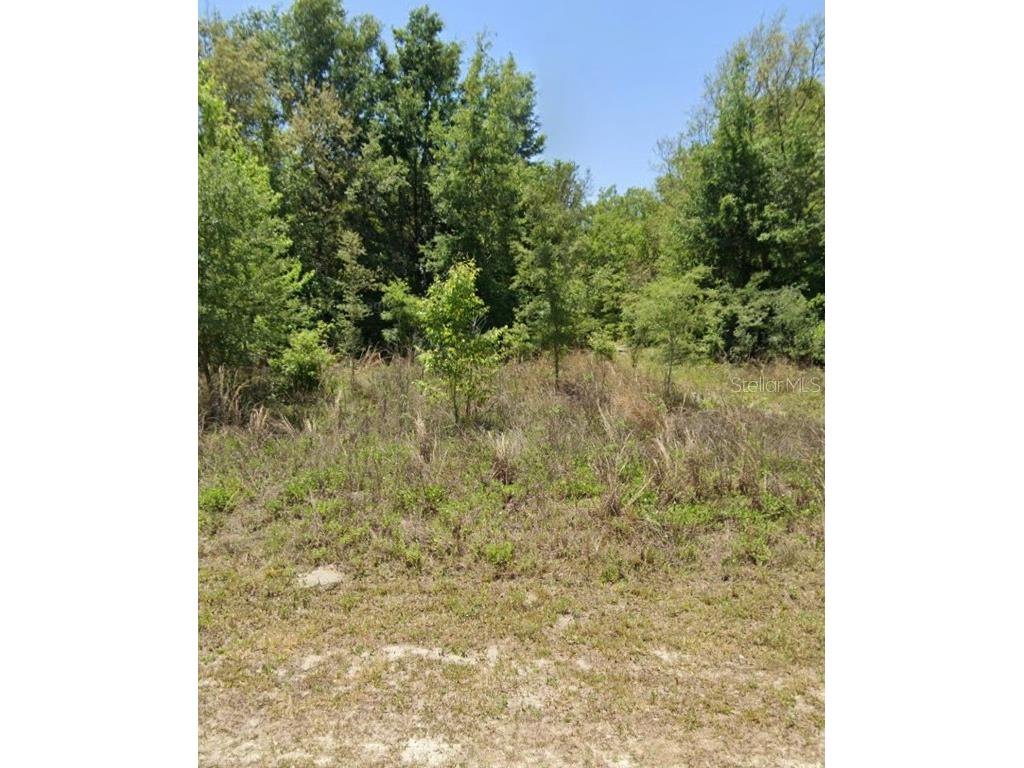 SW 114th Place Dunnellon FL 34432 U8200302 image1