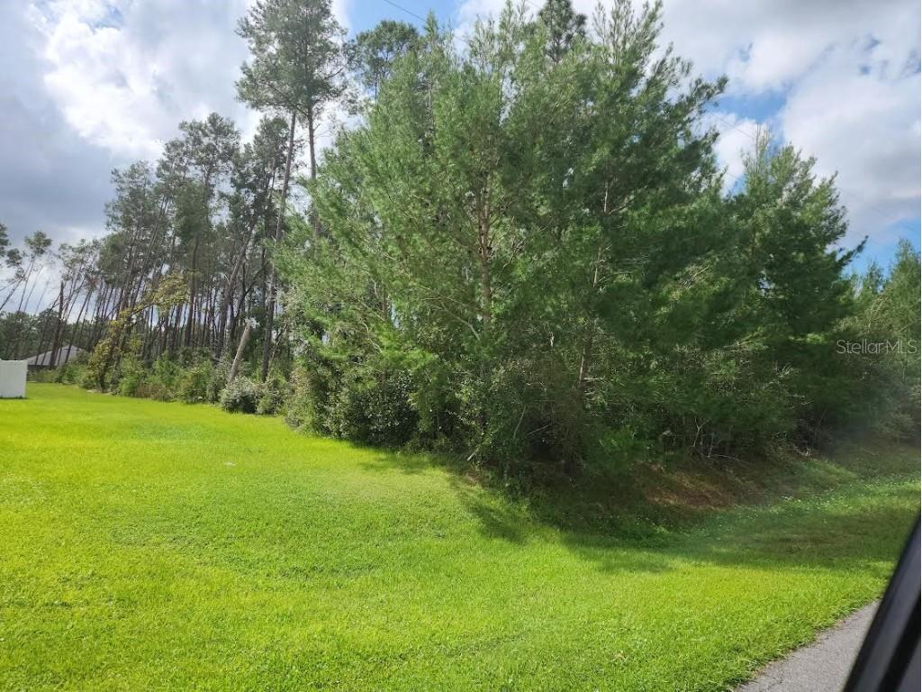 SW 115th Street Ocala FL 34476 OM687431 image1