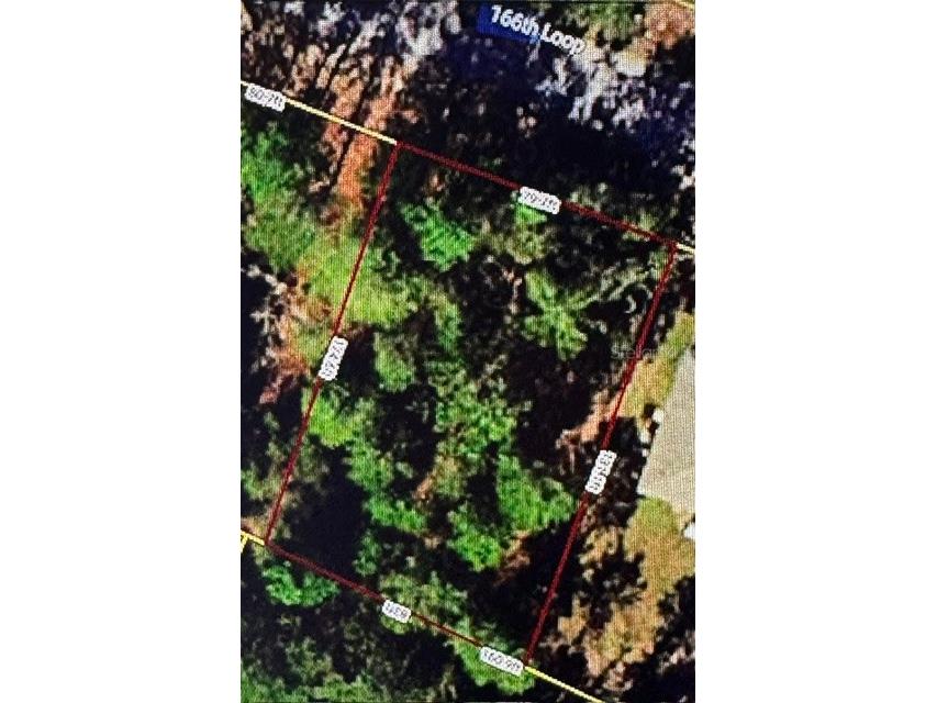 Sw 116th Loop Ocala FL 34473 TB8515787 image1