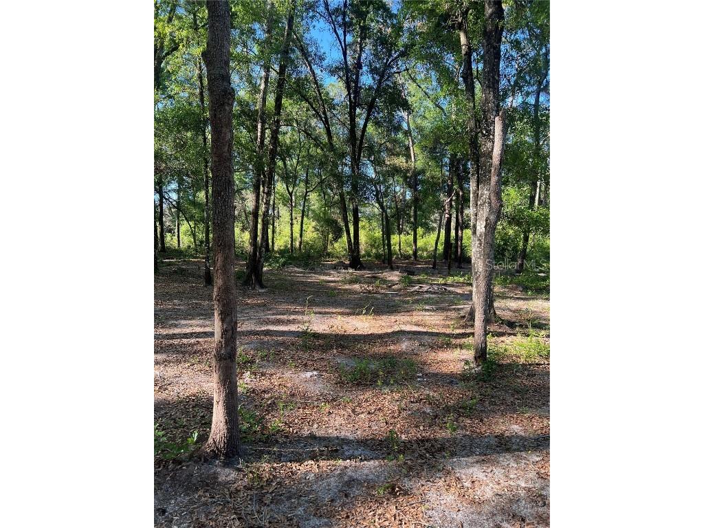 SW 118th Lane Webster FL 33597 G5095937 image1