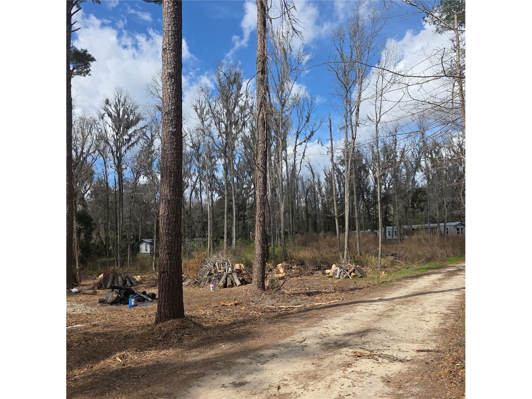 SW 11th Street Rd Ocala FL 34481 OM719268 image4
