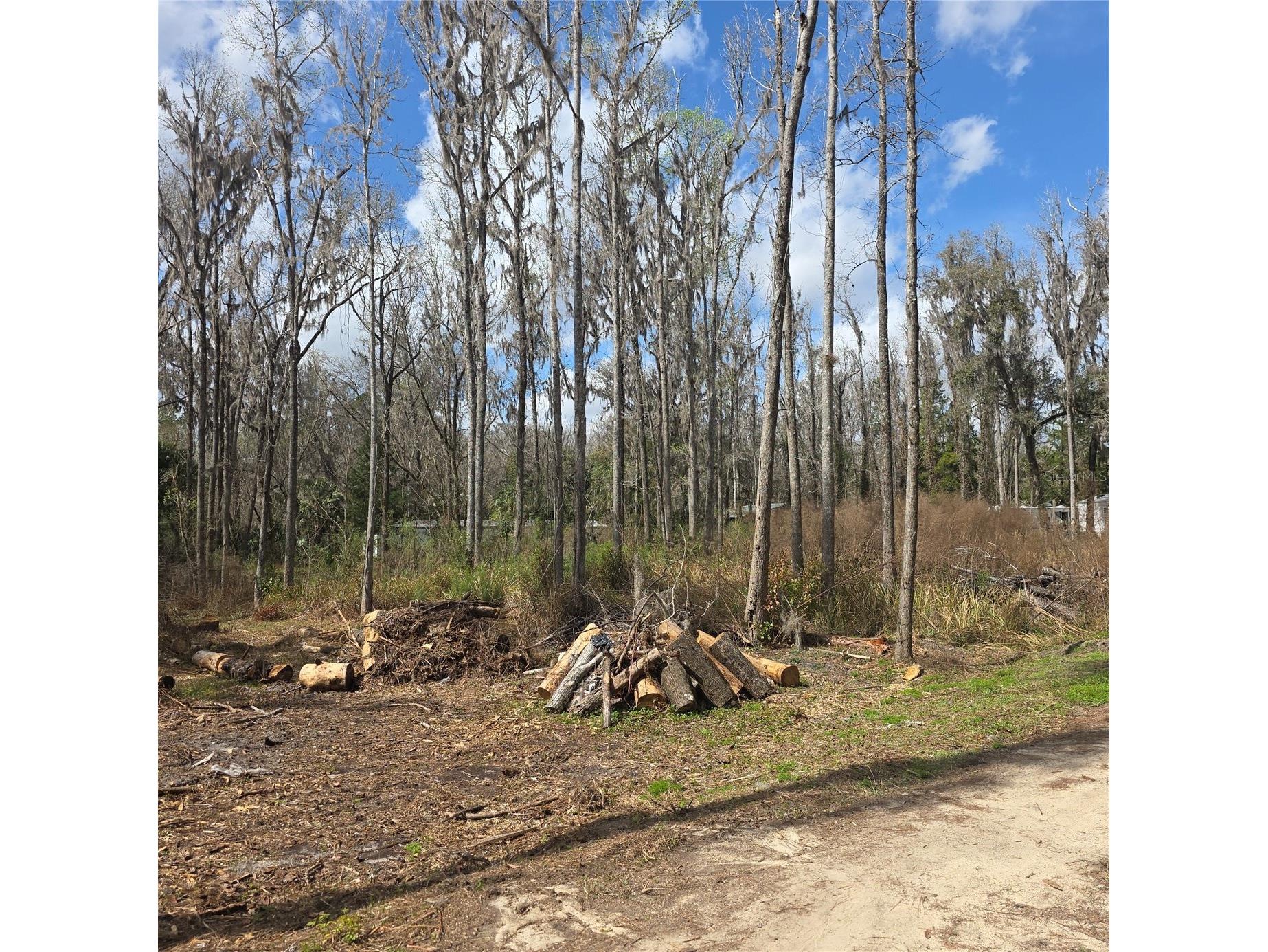 SW 11th Street Rd Ocala FL 34481 OM719268 image6