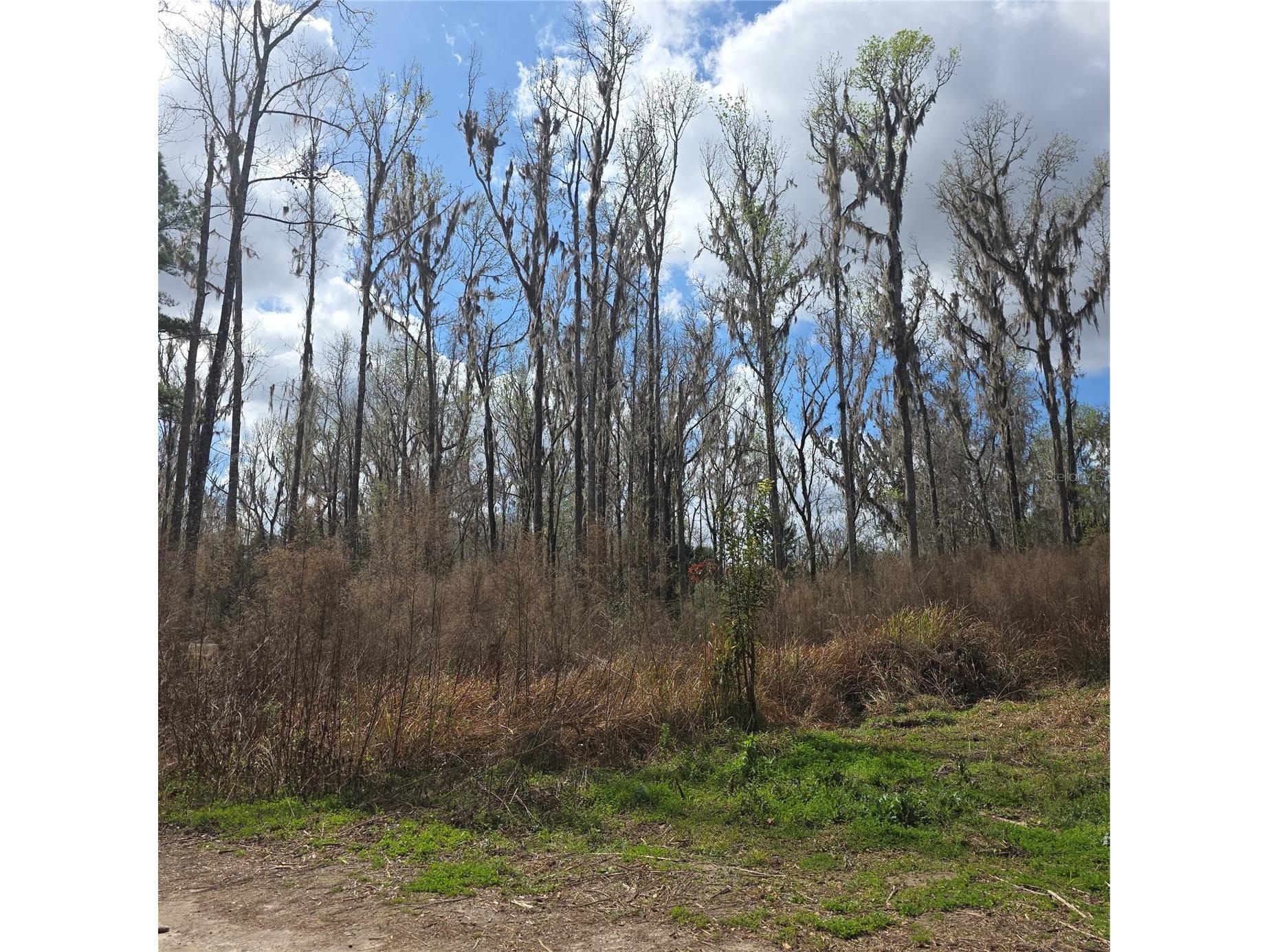SW 11th Street Rd Ocala FL 34481 OM719268 image7