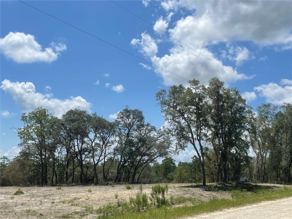 SW 121 Terrace Dunnellon FL 34432 OM661539 image1