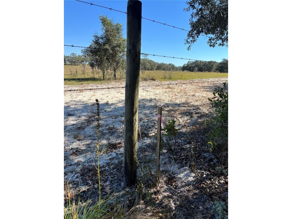 SW 121 Terrace Road Dunnellon FL 34432 O6361048 image3